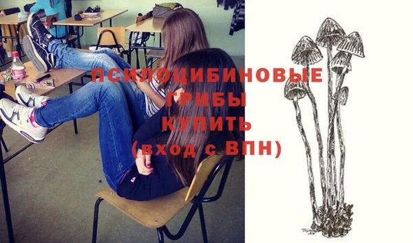 герыч Няндома
