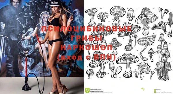 герыч Няндома