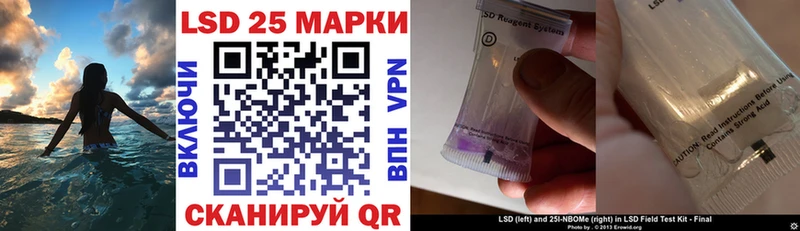 mega вход  Курган  Наркотические марки 1,8мг  продажа наркотиков 