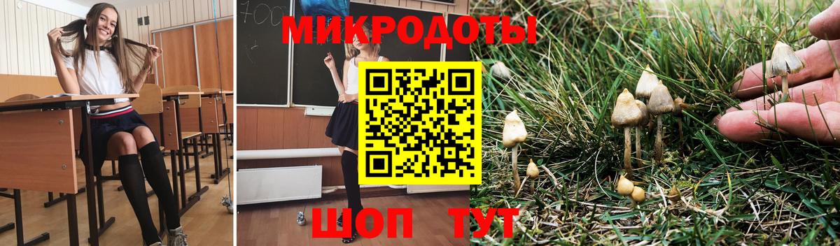 Курган  Псилоцибиновые грибы мицелий  Вход с VPN 