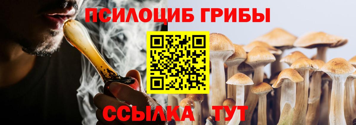Галлюциногенные грибы Psilocybe Курган