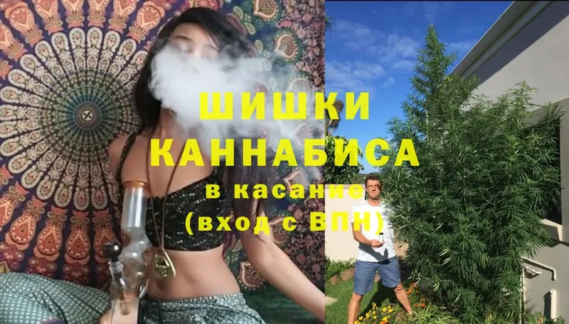 Бошки Шишки план  Курган 